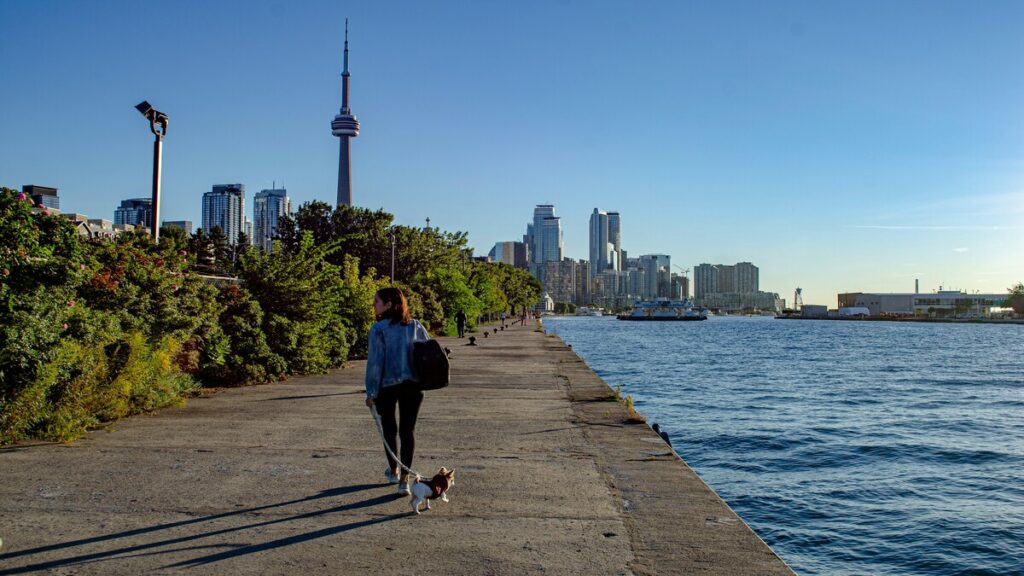 Mujer paseando en un día soleado con su perro contando cuántas calorías quemas caminando